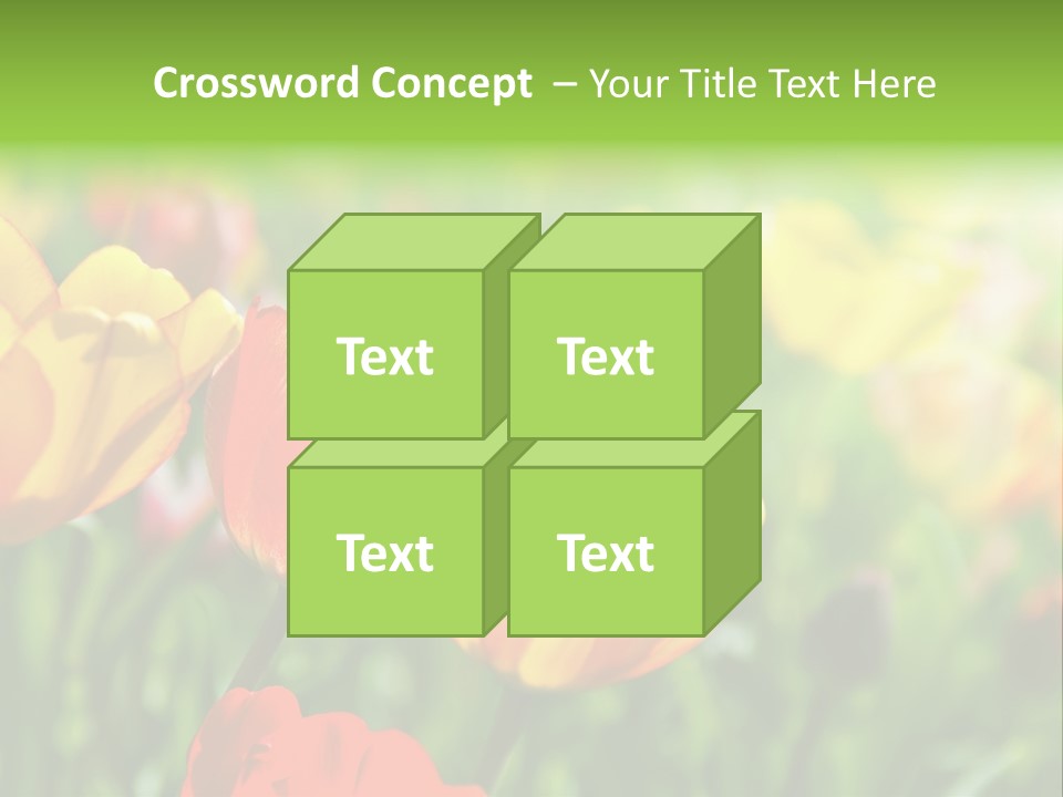 Flowers Tulips PowerPoint Template