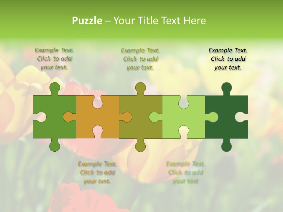 Flowers Tulips PowerPoint Template