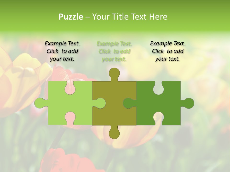 Flowers Tulips PowerPoint Template