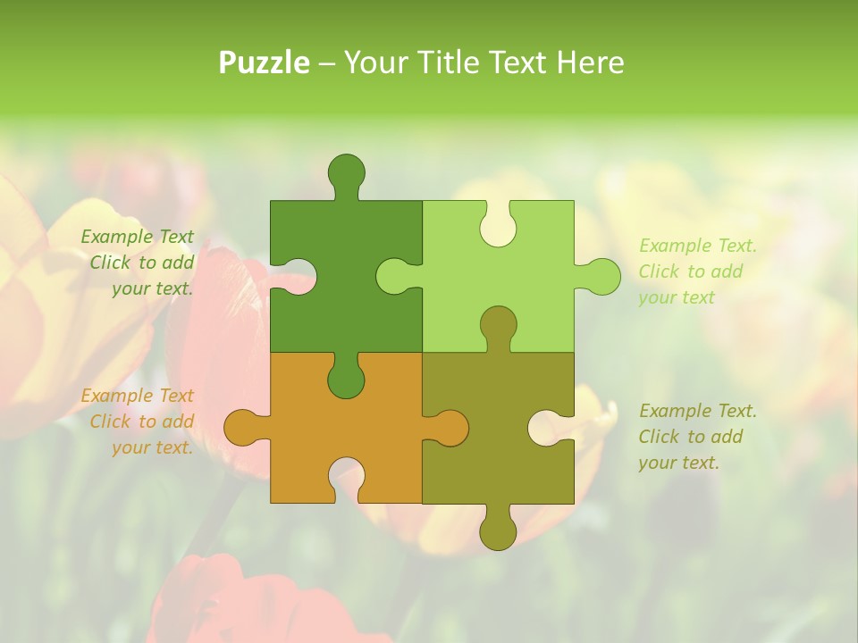 Flowers Tulips PowerPoint Template