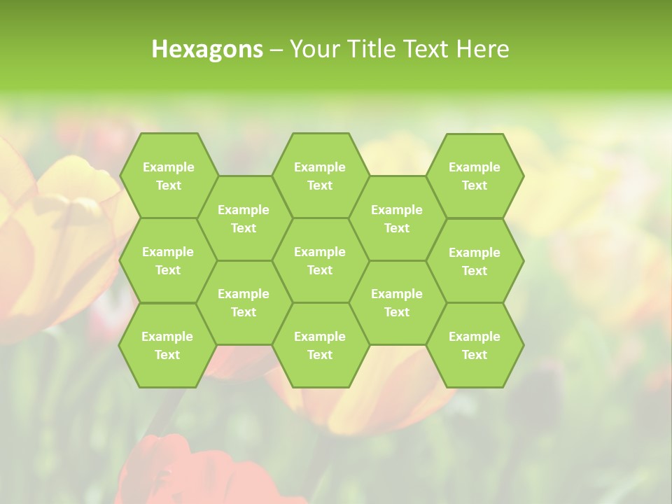 Flowers Tulips PowerPoint Template