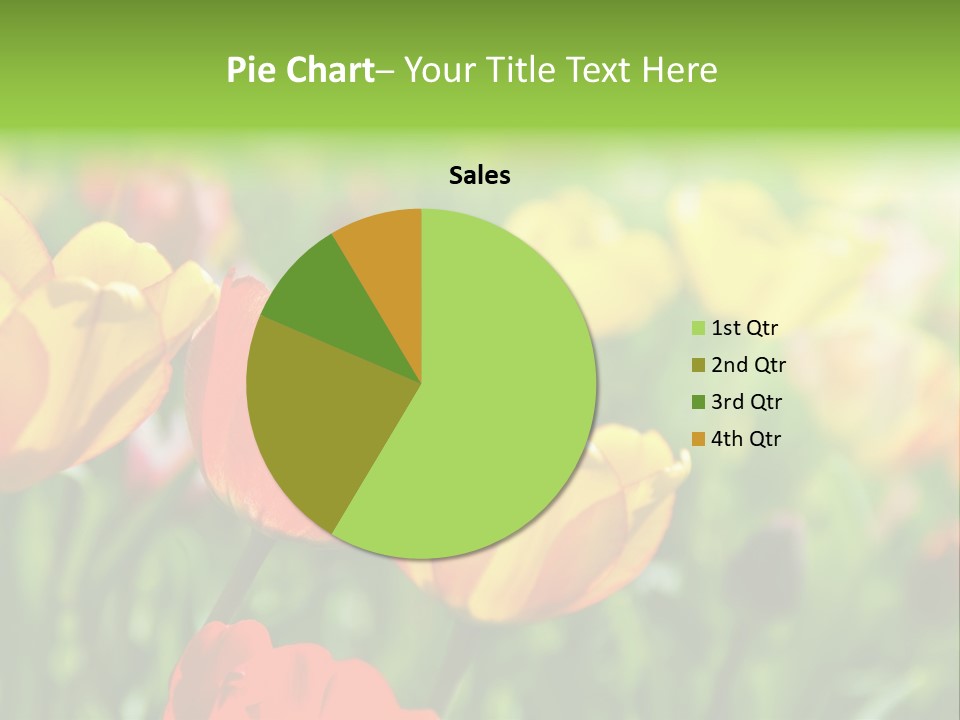 Flowers Tulips PowerPoint Template