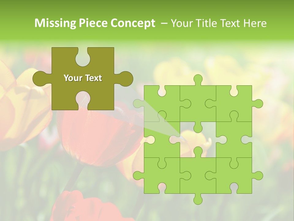 Flowers Tulips PowerPoint Template