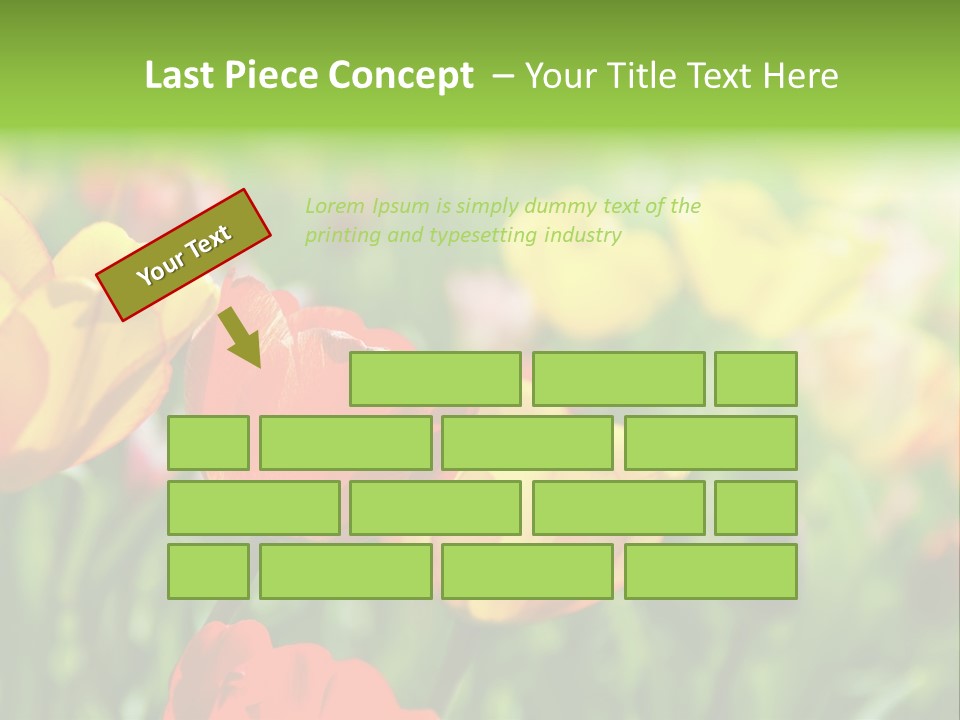 Flowers Tulips PowerPoint Template