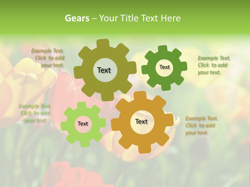 Flowers Tulips PowerPoint Template