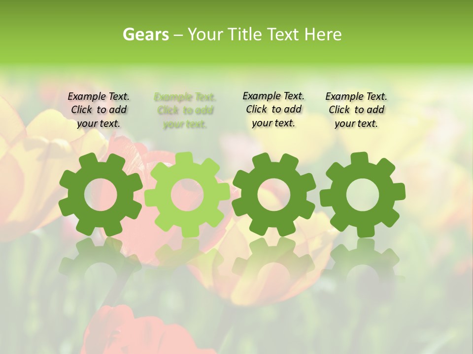 Flowers Tulips PowerPoint Template