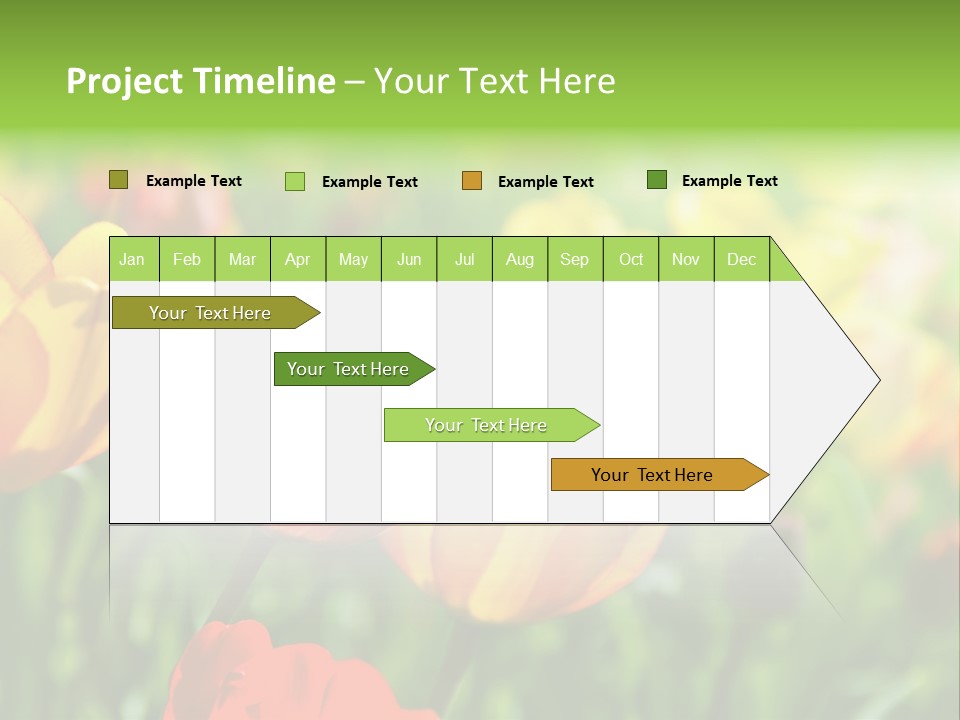 Flowers Tulips PowerPoint Template