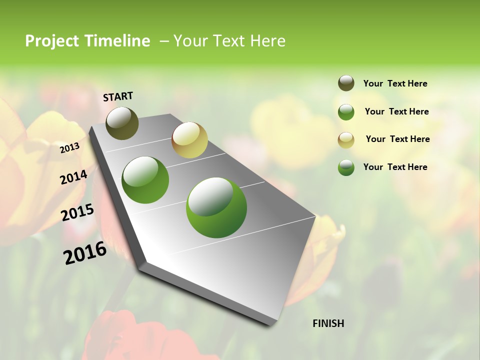 Flowers Tulips PowerPoint Template