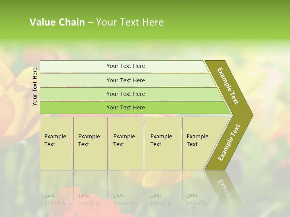 Flowers Tulips PowerPoint Template