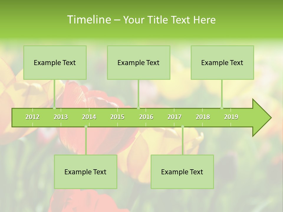 Flowers Tulips PowerPoint Template