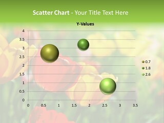 Flowers Tulips PowerPoint Template