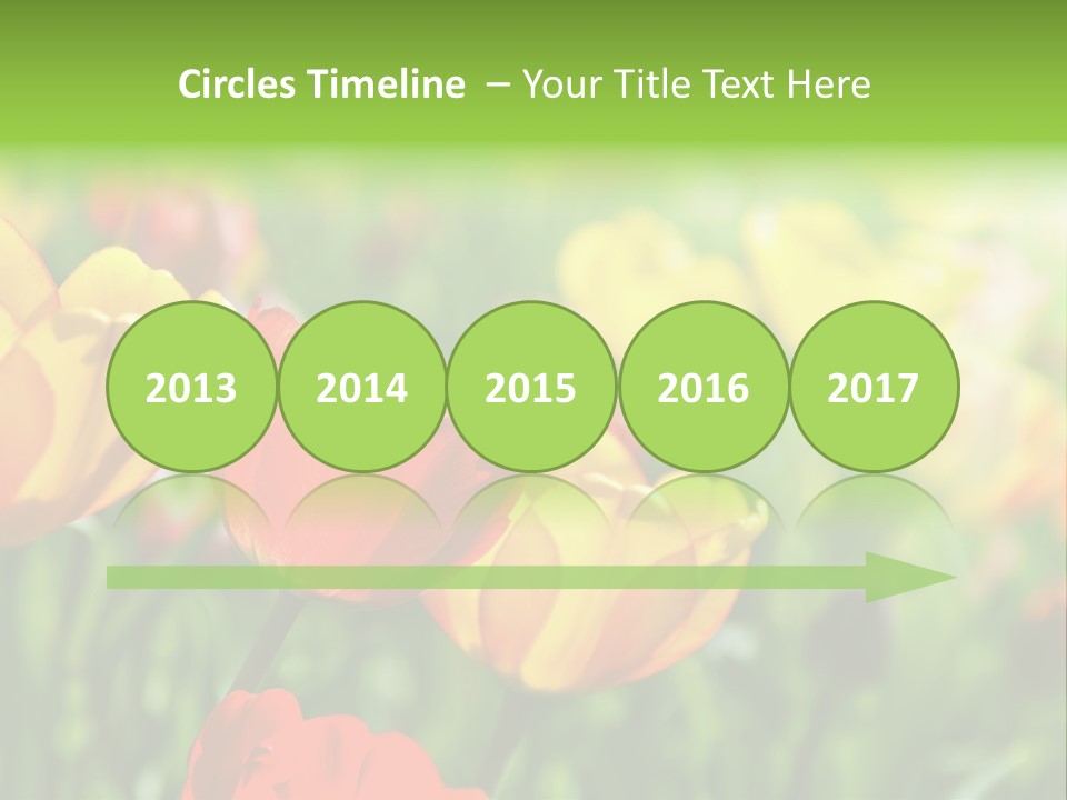 Flowers Tulips PowerPoint Template