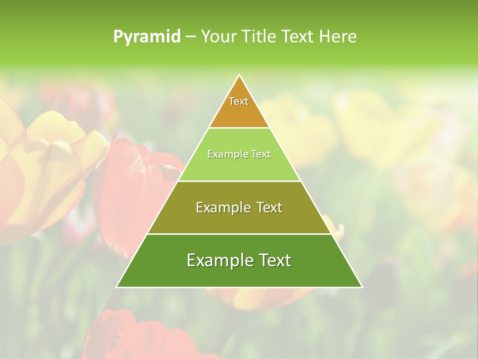 Flowers Tulips PowerPoint Template