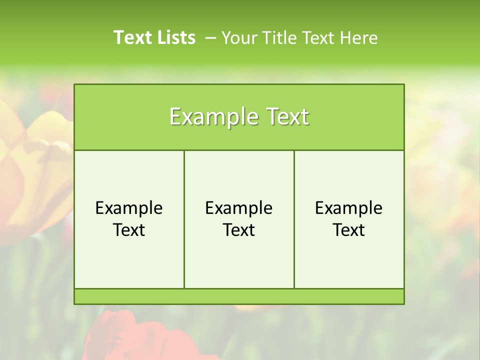 Flowers Tulips PowerPoint Template