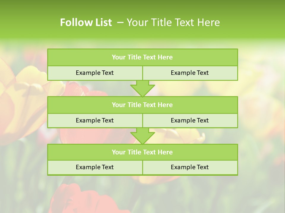 Flowers Tulips PowerPoint Template