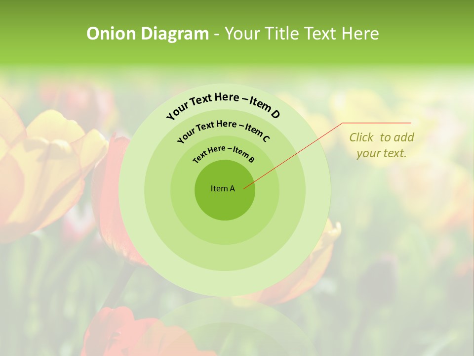 Flowers Tulips PowerPoint Template