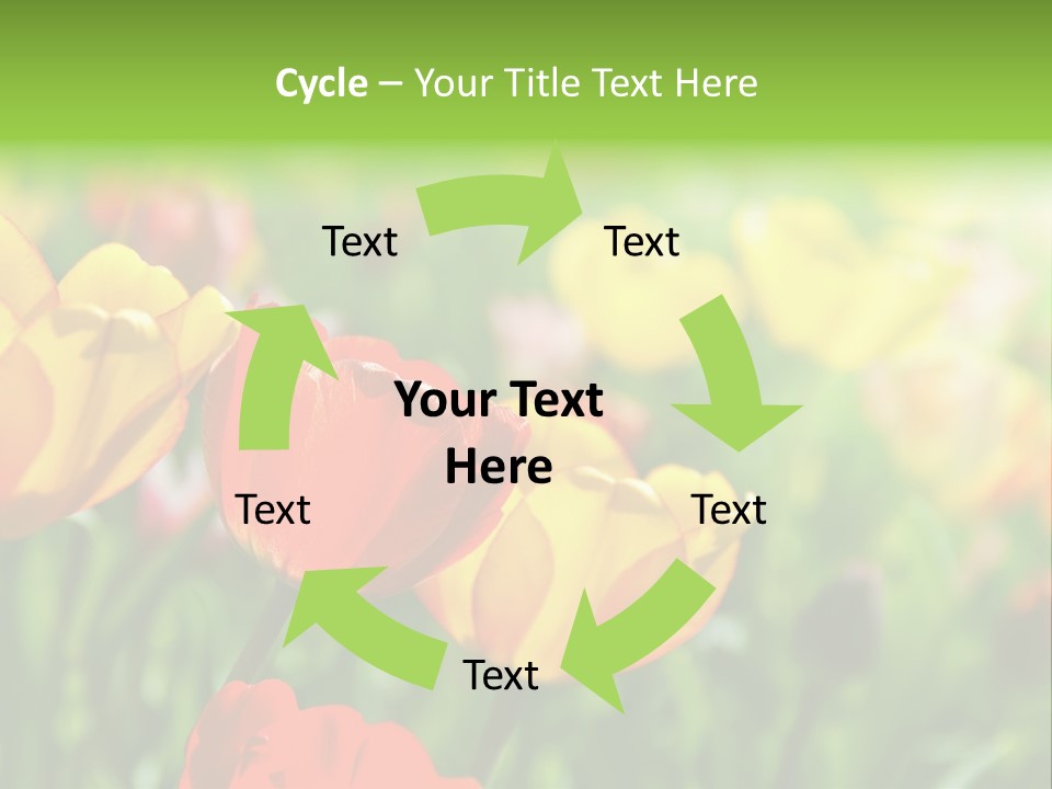 Flowers Tulips PowerPoint Template