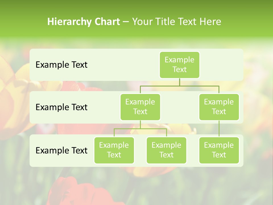 Flowers Tulips PowerPoint Template