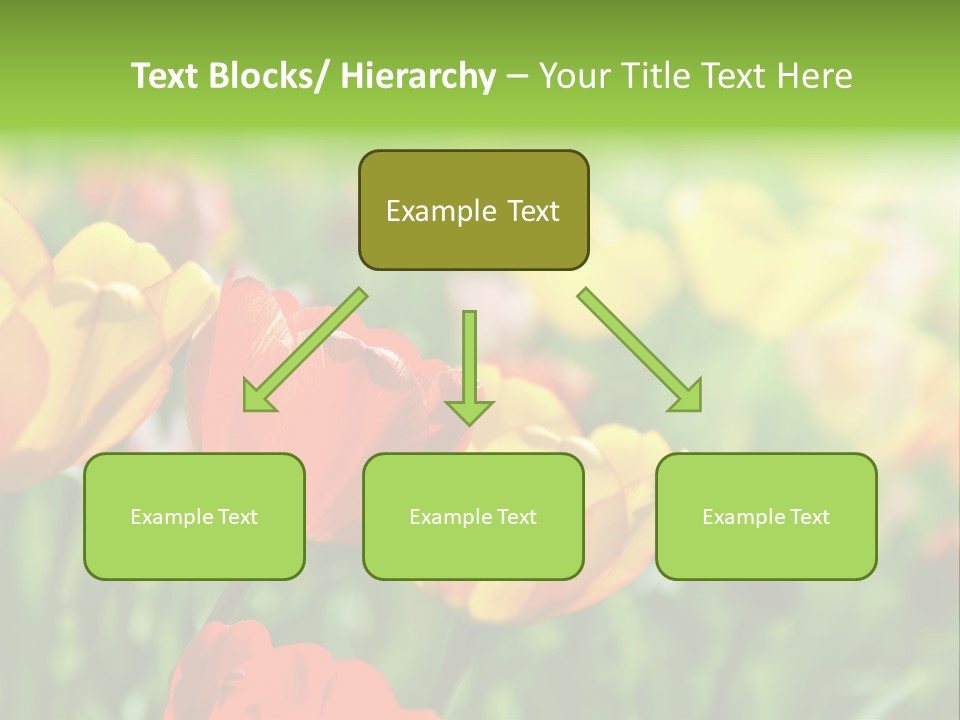 Flowers Tulips PowerPoint Template