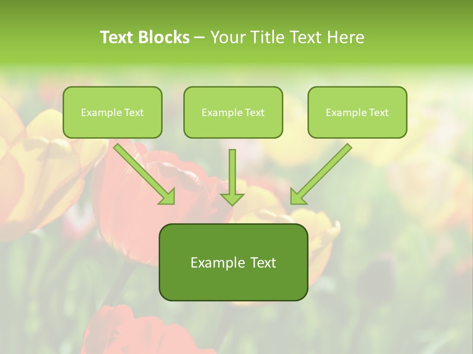 Flowers Tulips PowerPoint Template