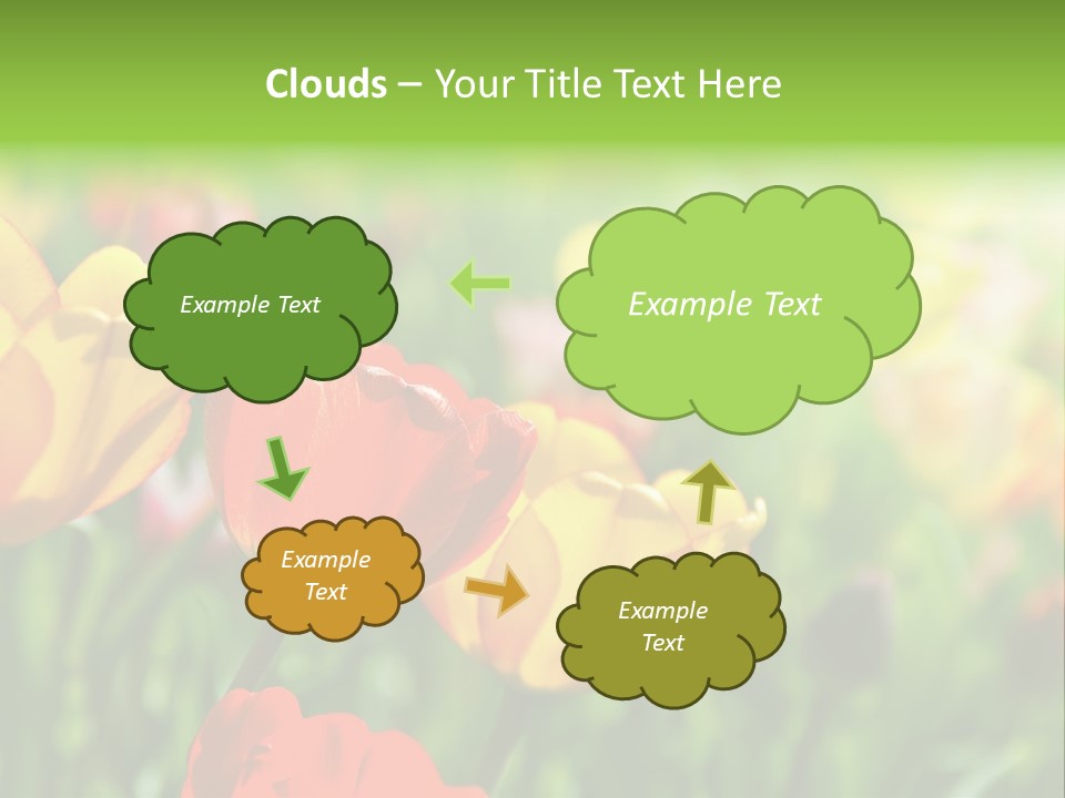 Flowers Tulips PowerPoint Template