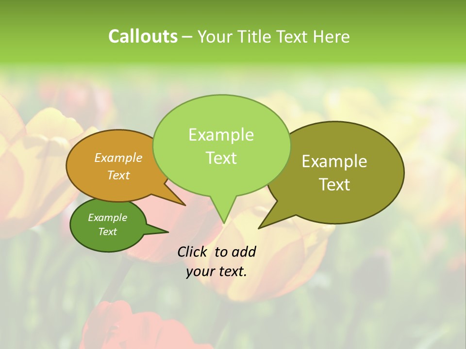 Flowers Tulips PowerPoint Template