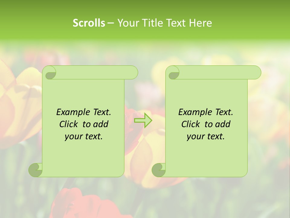 Flowers Tulips PowerPoint Template