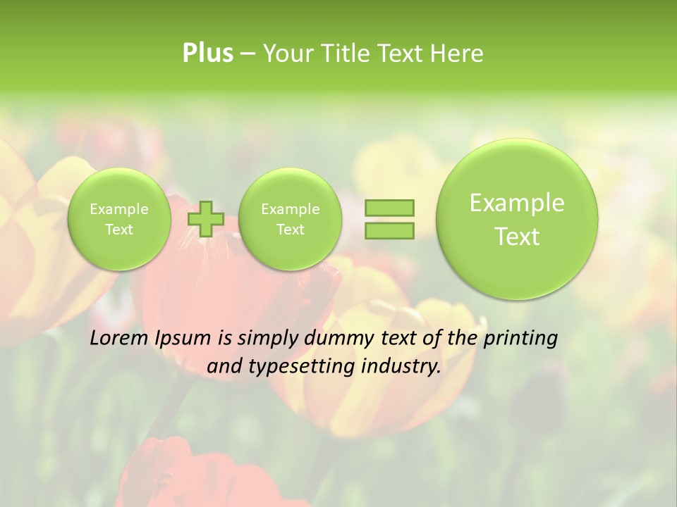 Flowers Tulips PowerPoint Template