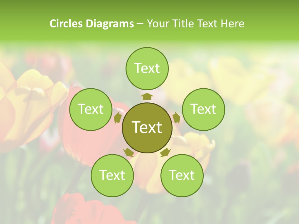 Flowers Tulips PowerPoint Template