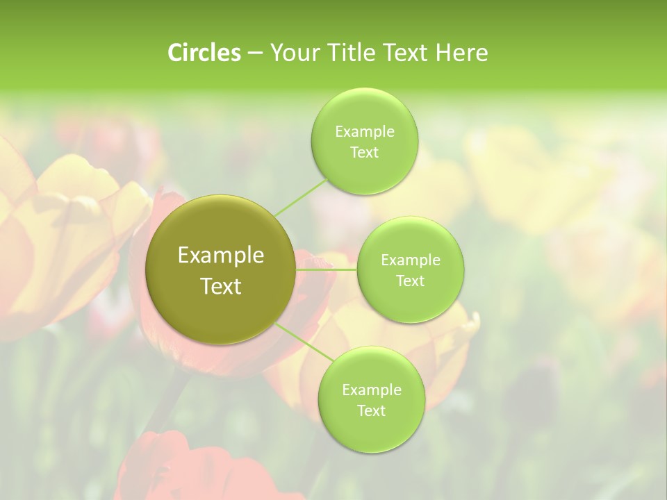 Flowers Tulips PowerPoint Template