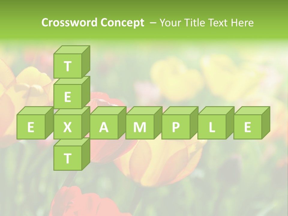 Flowers Tulips PowerPoint Template