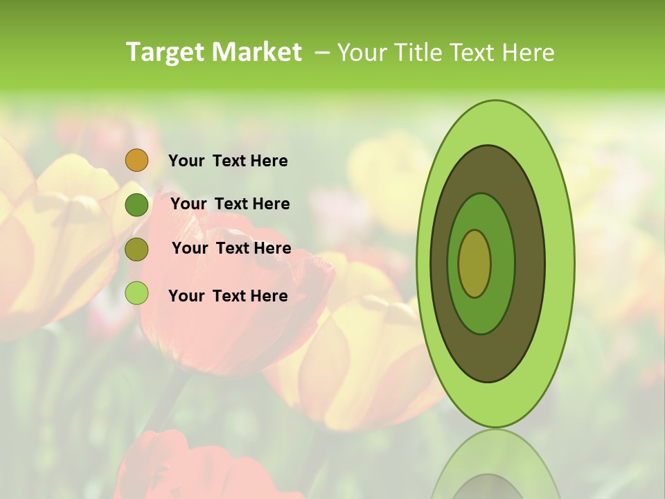Flowers Tulips PowerPoint Template