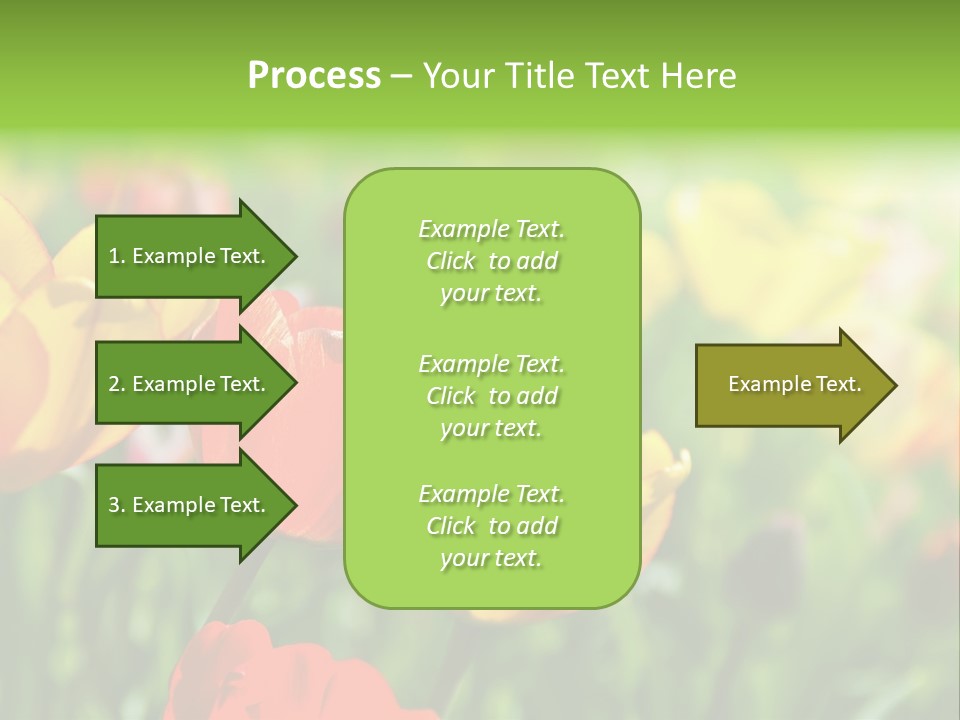 Flowers Tulips PowerPoint Template