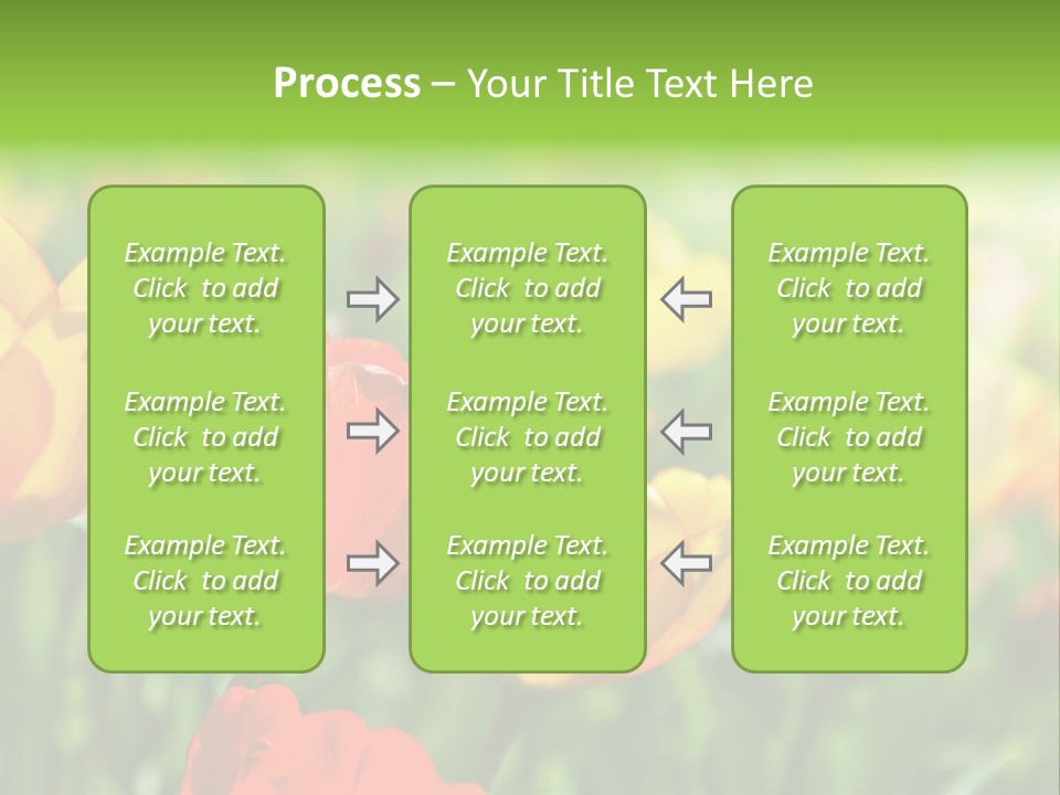 Flowers Tulips PowerPoint Template