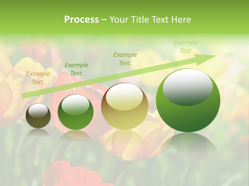 Flowers Tulips PowerPoint Template