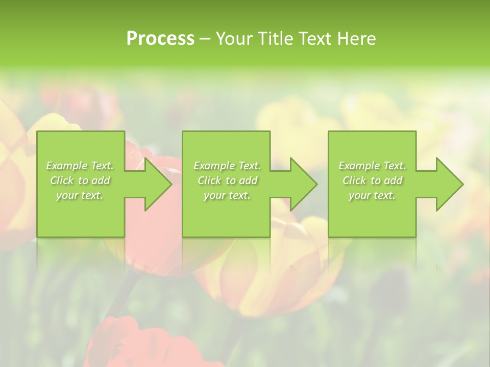 Flowers Tulips PowerPoint Template