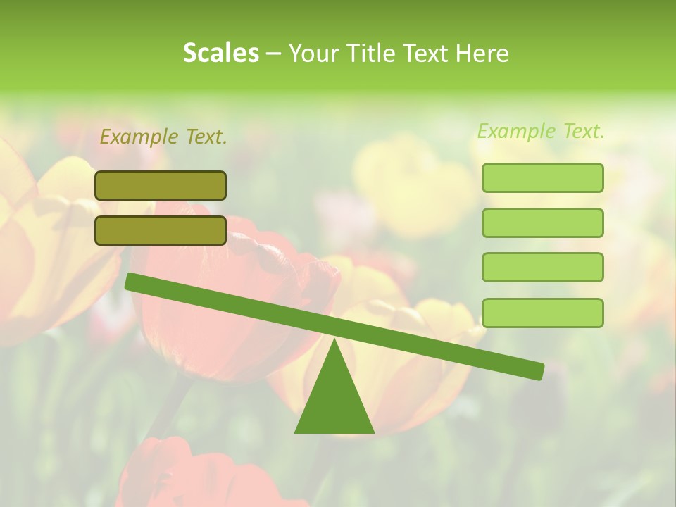 Flowers Tulips PowerPoint Template