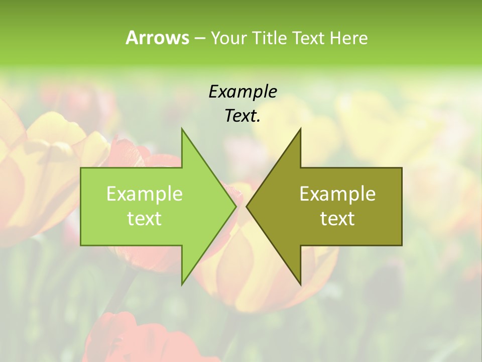 Flowers Tulips PowerPoint Template