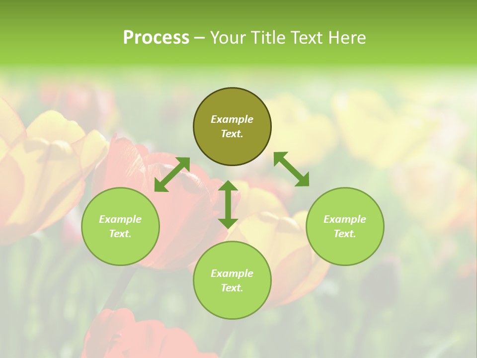 Flowers Tulips PowerPoint Template