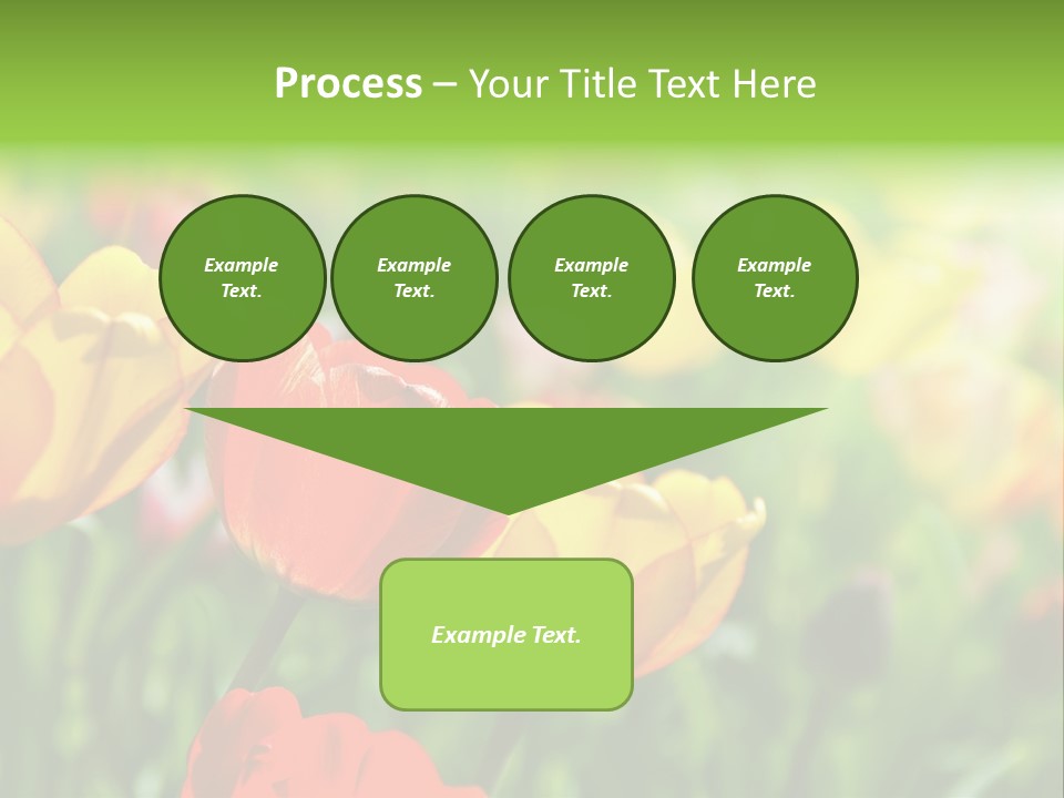Flowers Tulips PowerPoint Template