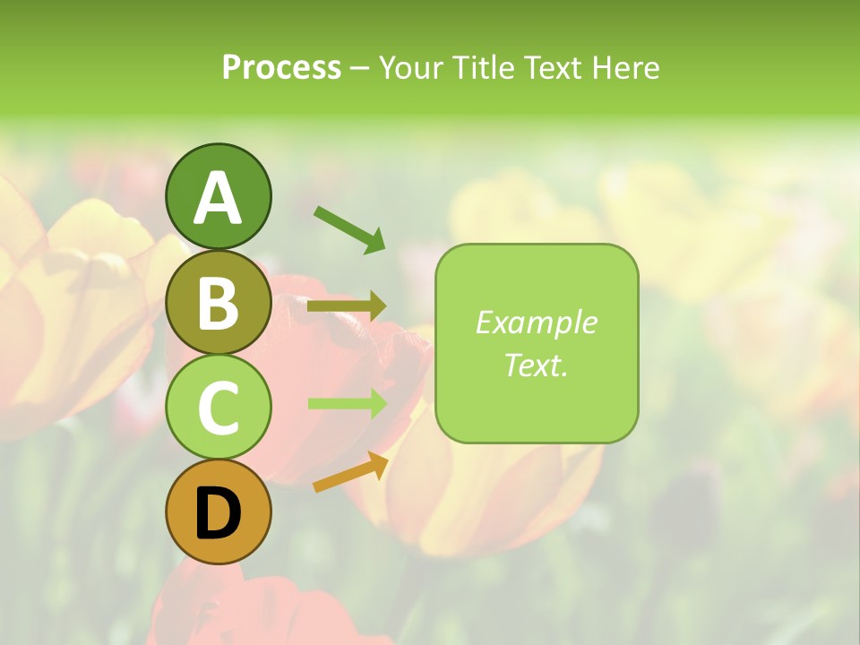 Flowers Tulips PowerPoint Template