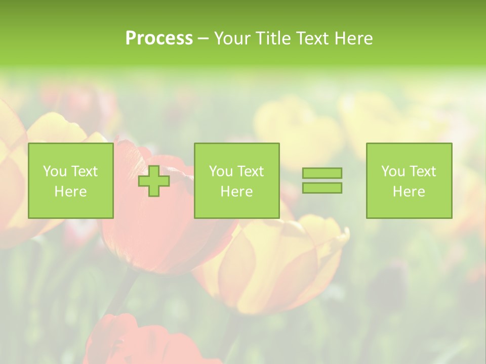 Flowers Tulips PowerPoint Template