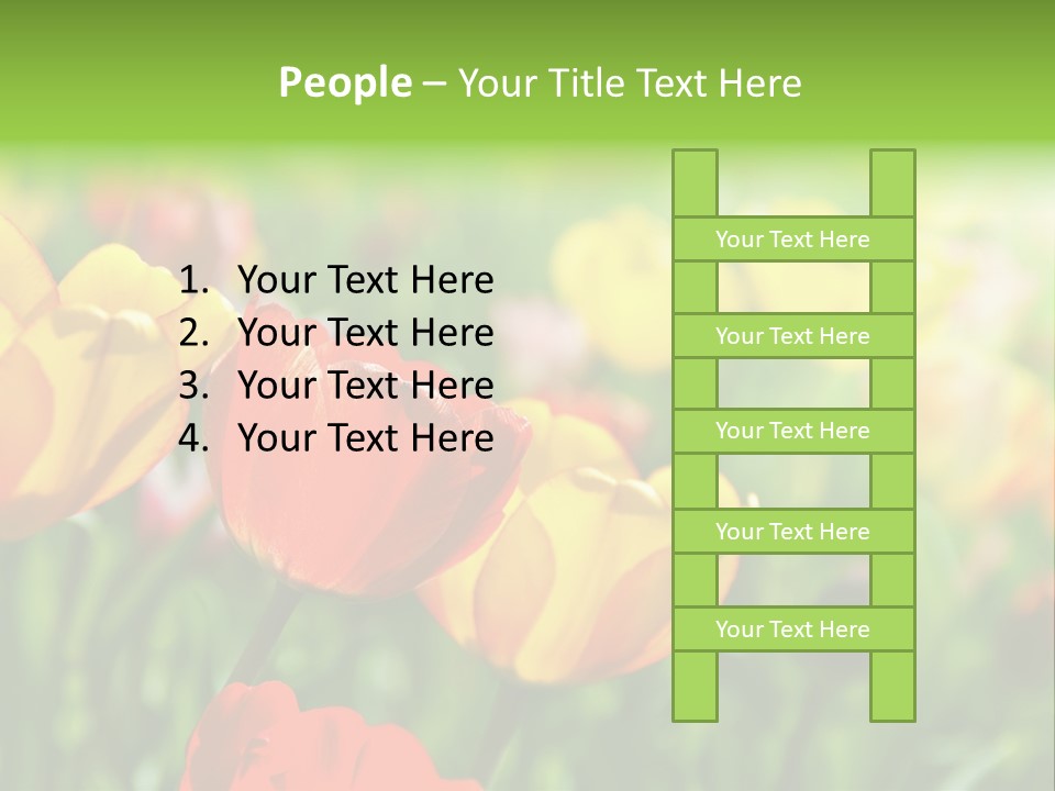 Flowers Tulips PowerPoint Template