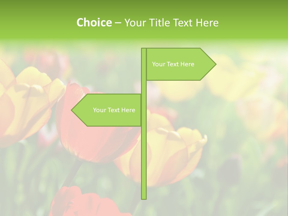 Flowers Tulips PowerPoint Template