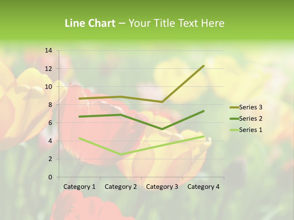 Flowers Tulips PowerPoint Template