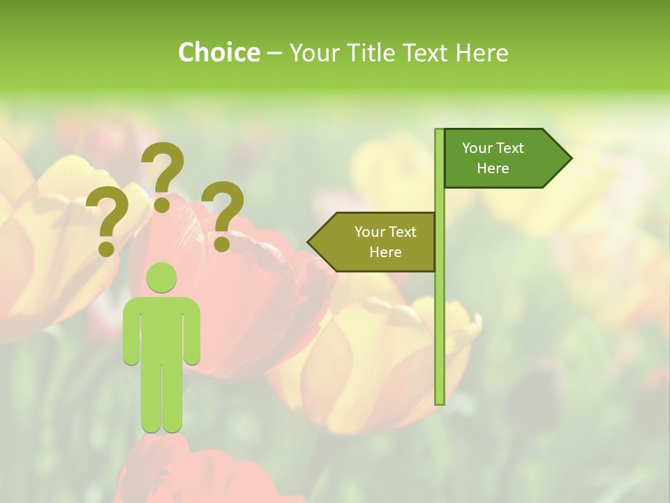 Flowers Tulips PowerPoint Template