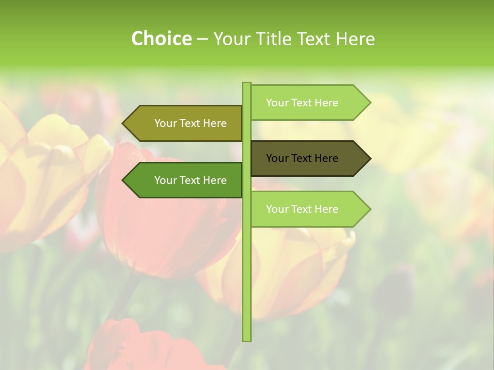 Flowers Tulips PowerPoint Template