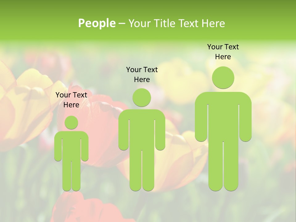 Flowers Tulips PowerPoint Template