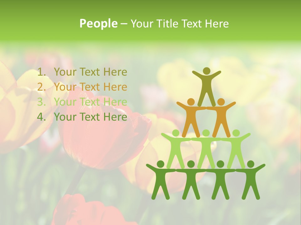 Flowers Tulips PowerPoint Template