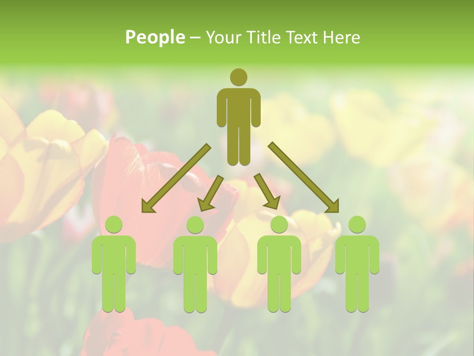 Flowers Tulips PowerPoint Template